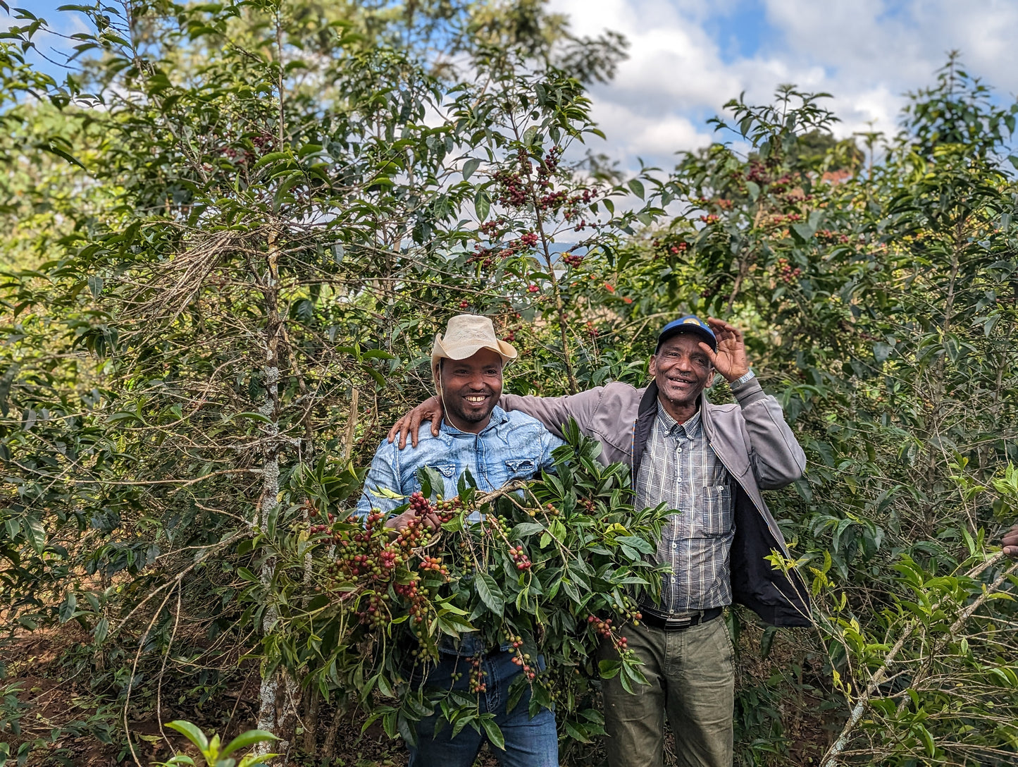 Basha Bekele, Kokose Natural, Ethiopia | 200g